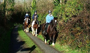 Pony trekking in West Clare